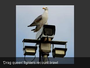 'Drag queen' fighters recount brawl