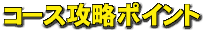 �R�[�X�U���|�C���g