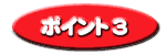�|�C���g�R