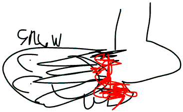 gnaw