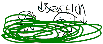 digestion